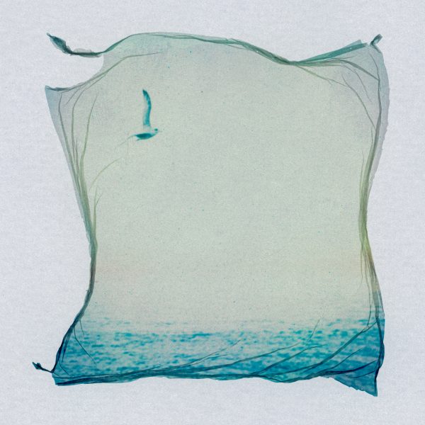 free birds. -06-