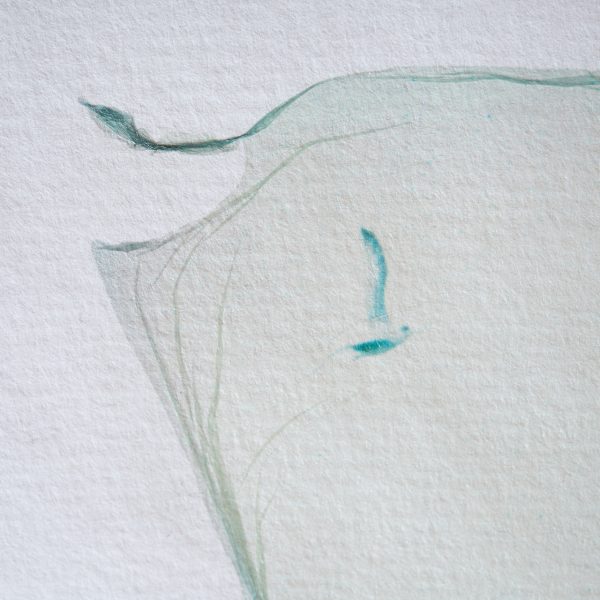 free birds. -06- – Bild 3