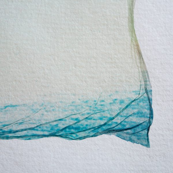 free birds. -06- – Bild 6