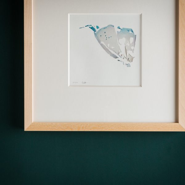free birds. -03- – Bild 4